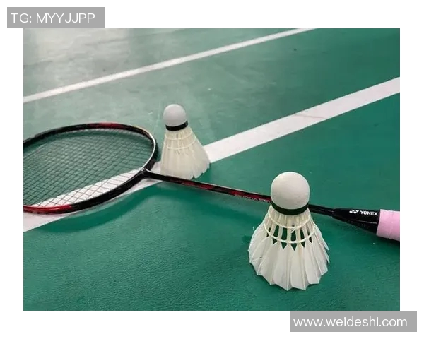 羽毛球训练设备创新及使用效果