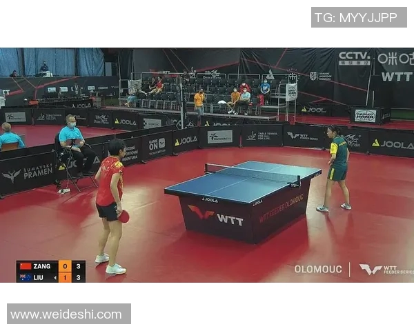 羽毛球单打关键分心理素质影响与运动员临场应对策略研究 羽毛球单打关键分心理素质影响与运动员临场应对策略研究